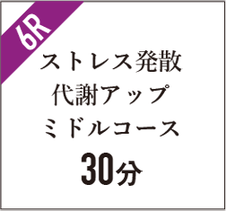 ストレス発散代謝アップミドルコース