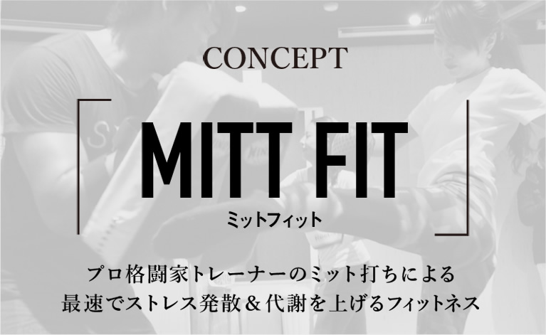 CONCEPT MITT FITT